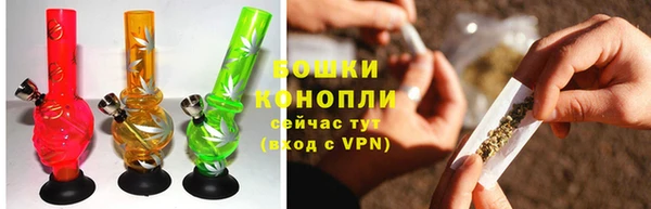 дурь Белокуриха