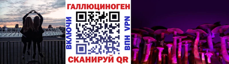 где можно купить наркотик Ленинградская Галлюциногенные грибы Cubensis
